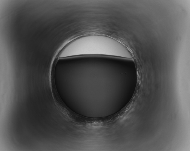 X0000099470196200805090820
