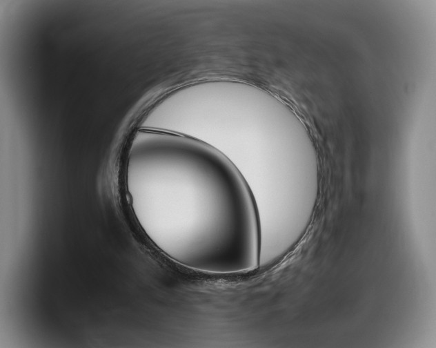 X0000099470197200805090820
