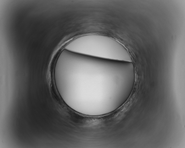 X0000099470198200805090820