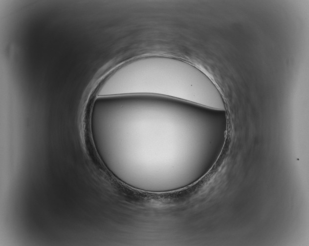 X0000099470199200805090820
