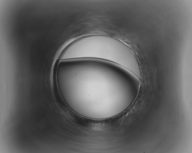 X0000099470200200805090820