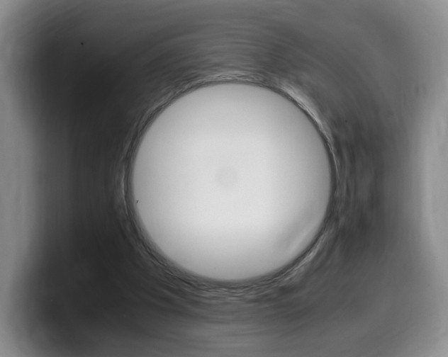 X0000099470201200805090820