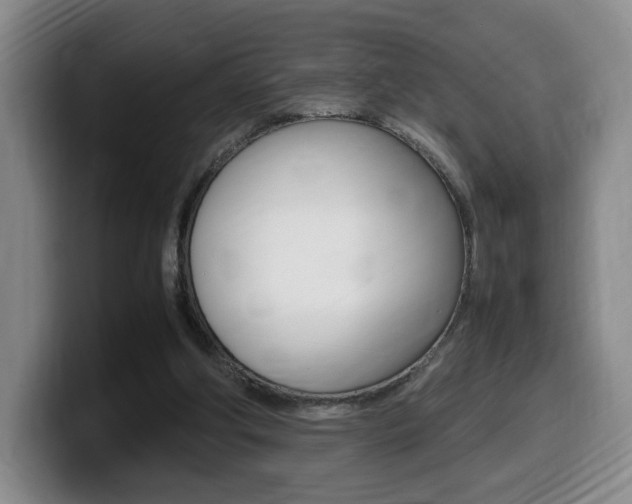 X0000099470202200805090820