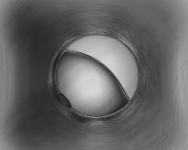X0000099470203200805090820