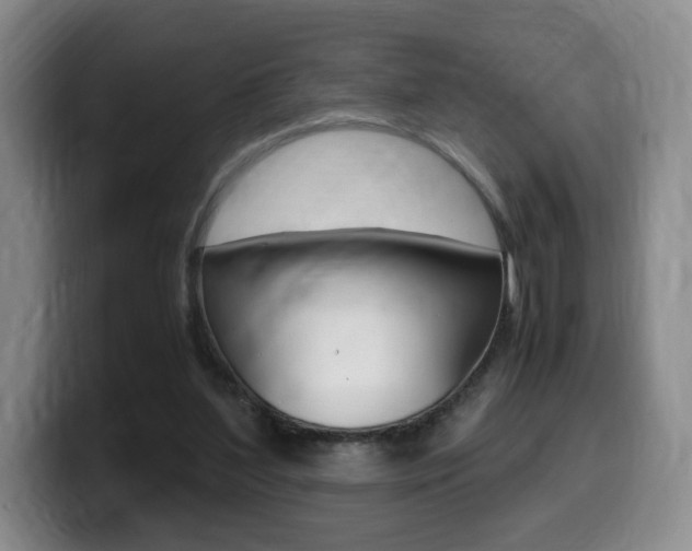 X0000099470204200805090820