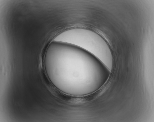 X0000099470205200805090820