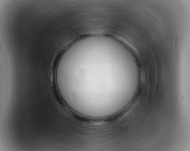 X0000099470206200805090820