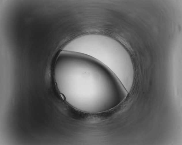 X0000099470207200805090820