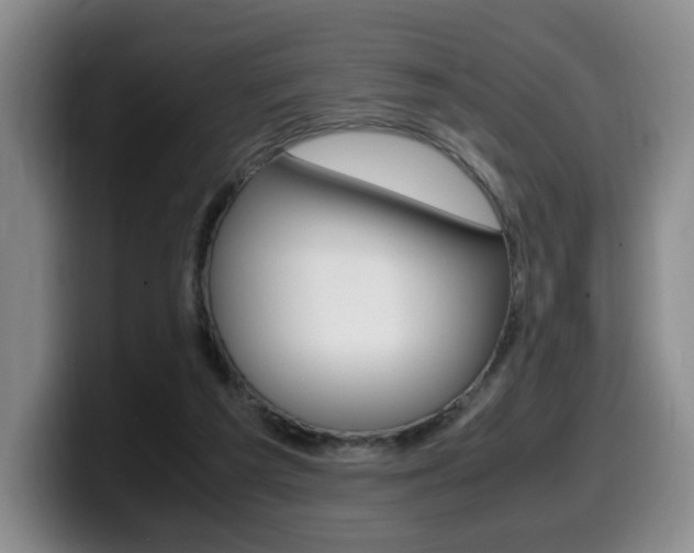 X0000099470209200805090820
