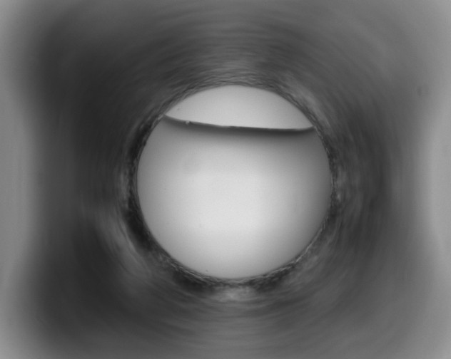 X0000099470210200805090820