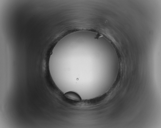 X0000099470211200805090820