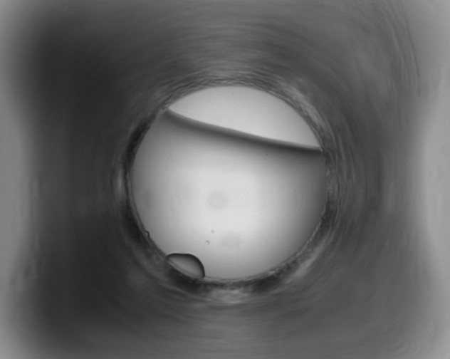 X0000099470213200805090820