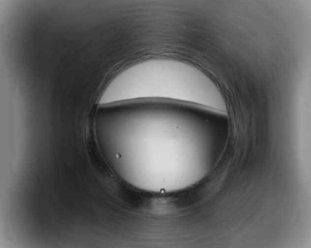 X0000099470216200805090820