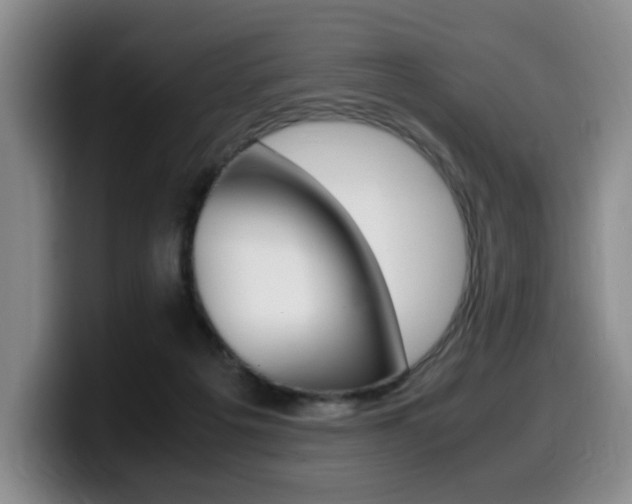 X0000099470217200805090820