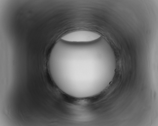 X0000099470218200805090820