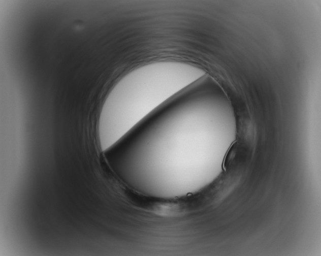 X0000099470220200805090820