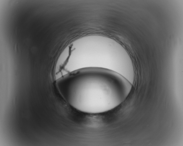 X0000099470221200805090820