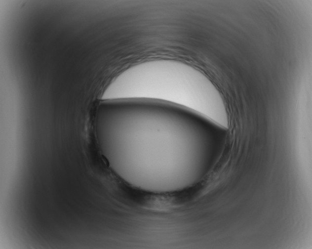 X0000099470223200805090820