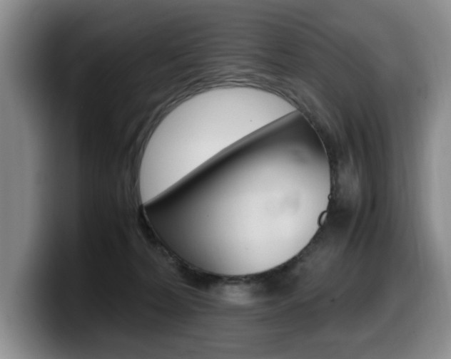 X0000099470228200805090820