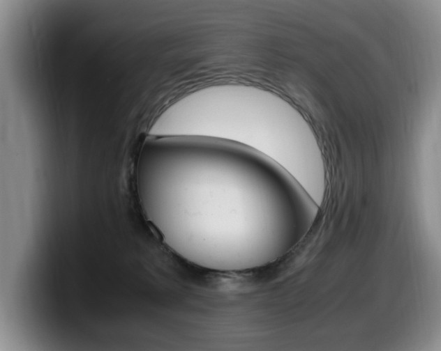 X0000099470229200805090820