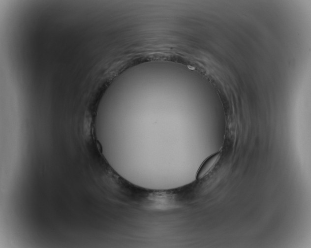 X0000099470231200805090820