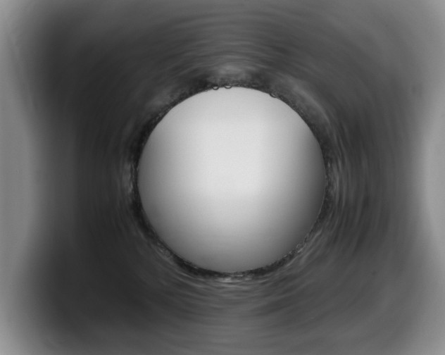 X0000099470232200805090819