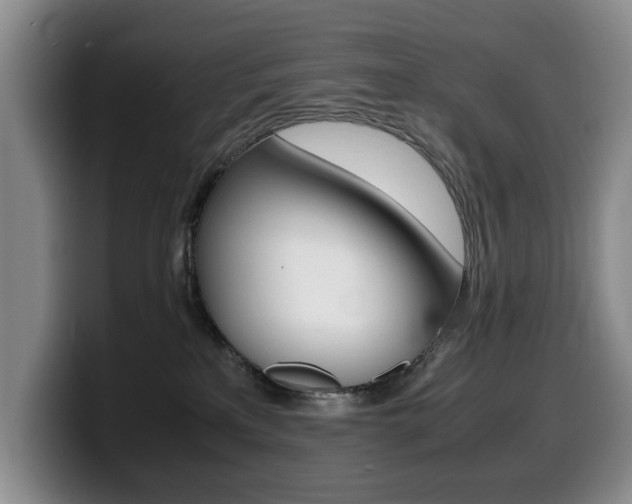 X0000099470233200805090819