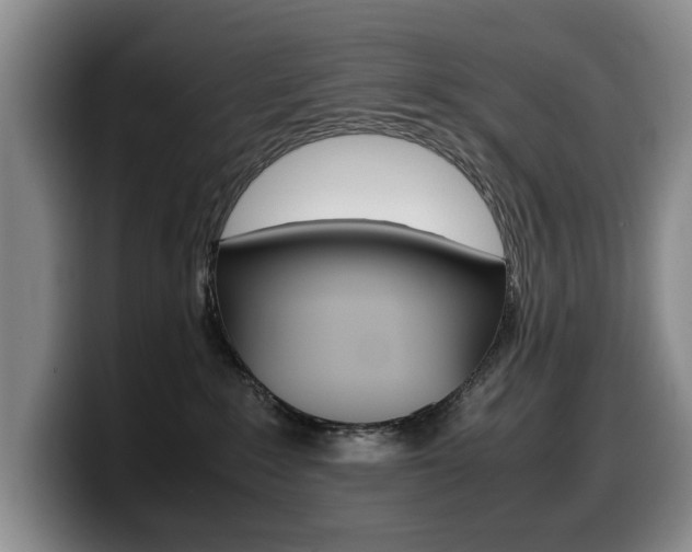 X0000099470235200805090819