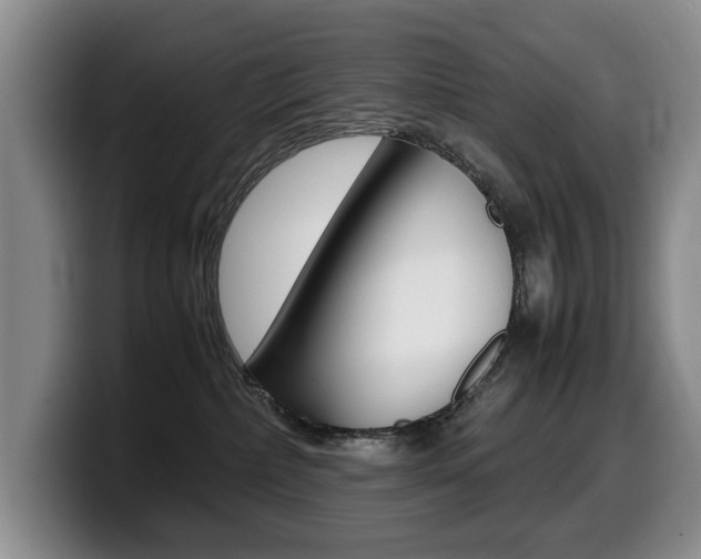 X0000099470236200805090819