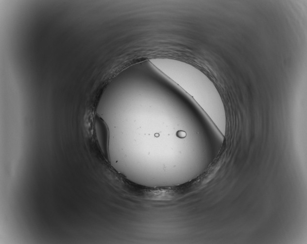 X0000099470237200805090819