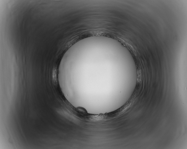 X0000099470238200805090819