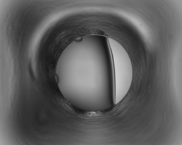 X0000099470239200805090819