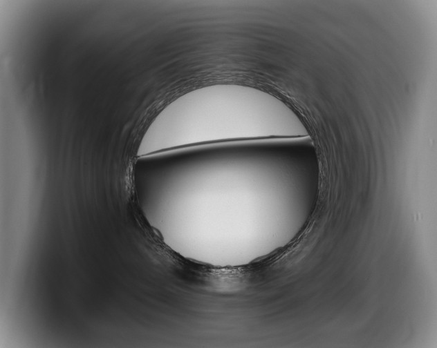 X0000099470240200805090819