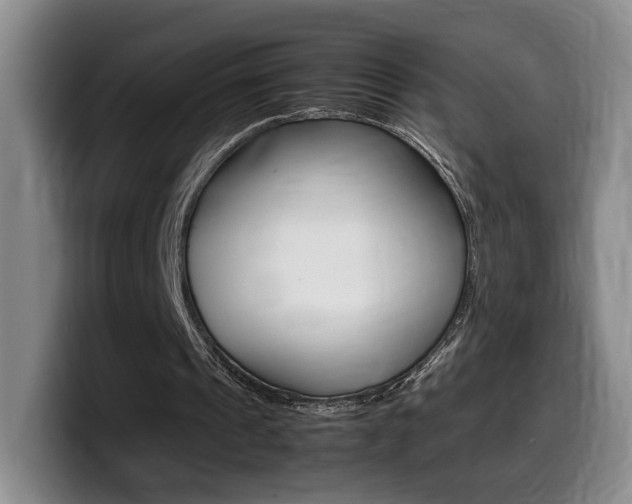X0000099470241200805090819