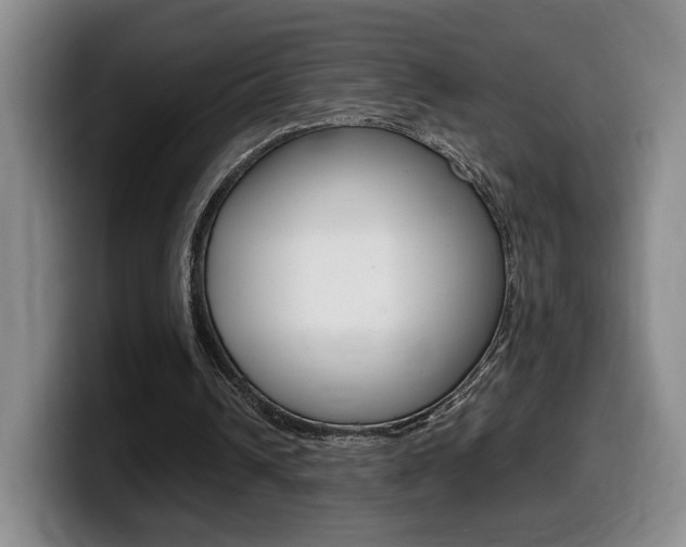 X0000099470242200805090819