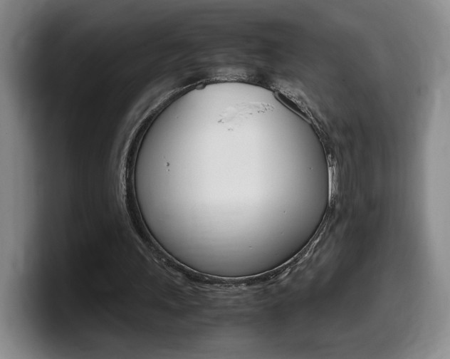 X0000099470243200805090819