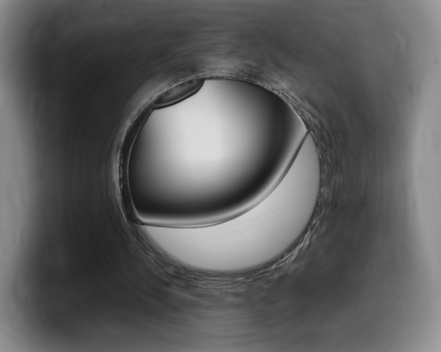 X0000099470244200805090819