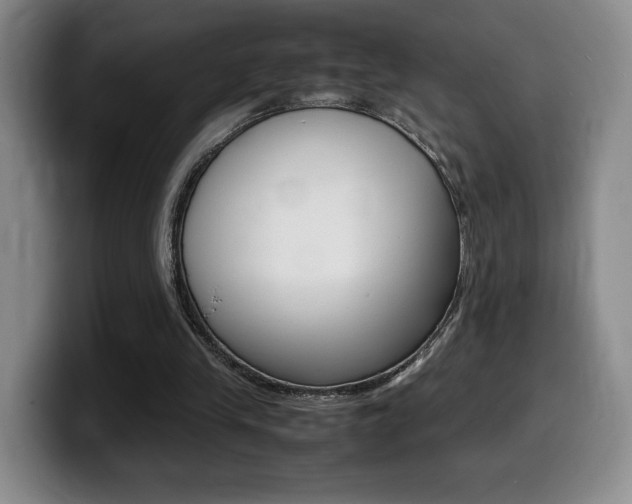 X0000099470245200805090819