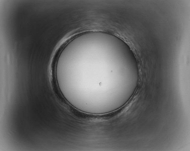 X0000099470246200805090819