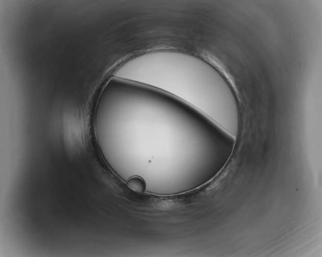 X0000099470249200805090819