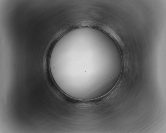 X0000099470250200805090819
