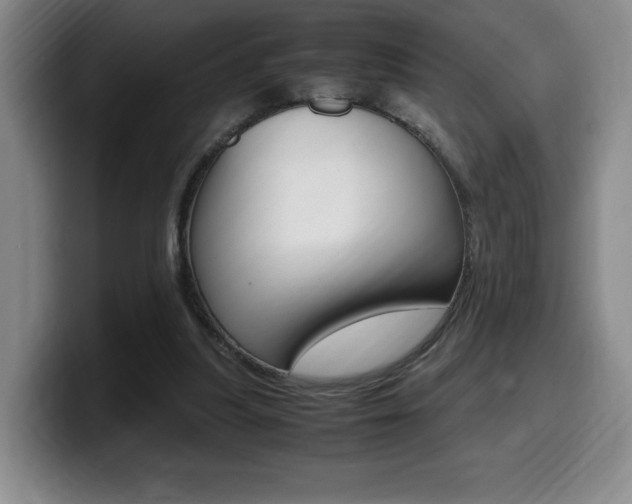 X0000099470251200805090819