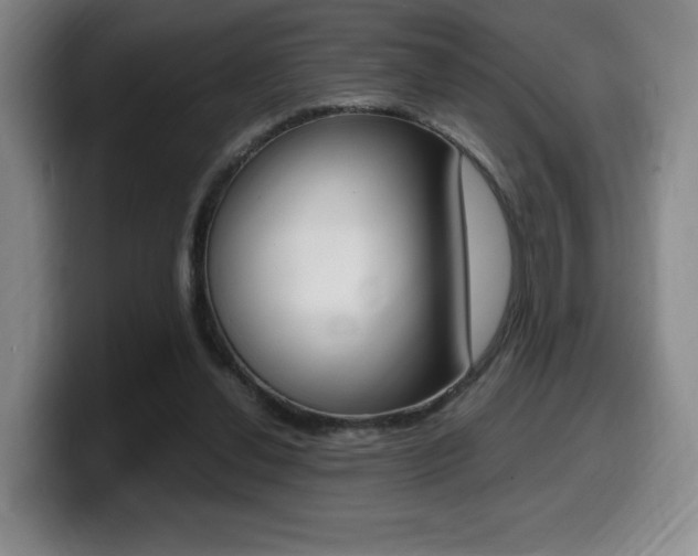 X0000099470252200805090819