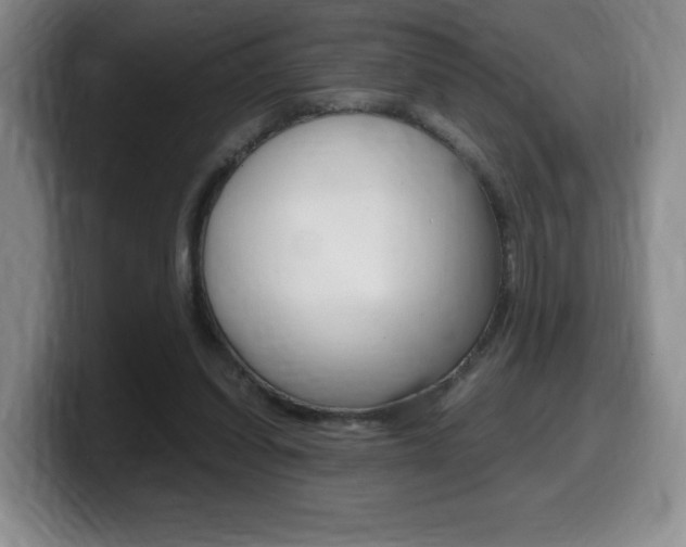 X0000099470254200805090819