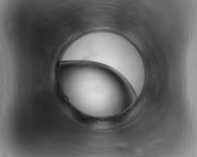 X0000099470256200805090819