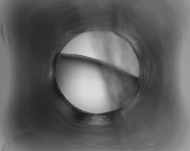 X0000099470261200805090819
