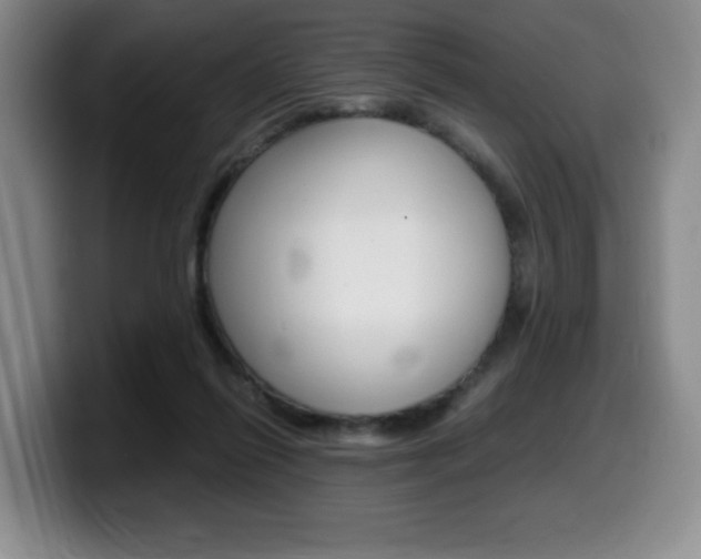 X0000099470262200805090819