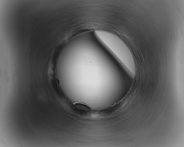 X0000099470264200805090819