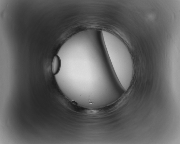 X0000099470265200805090819
