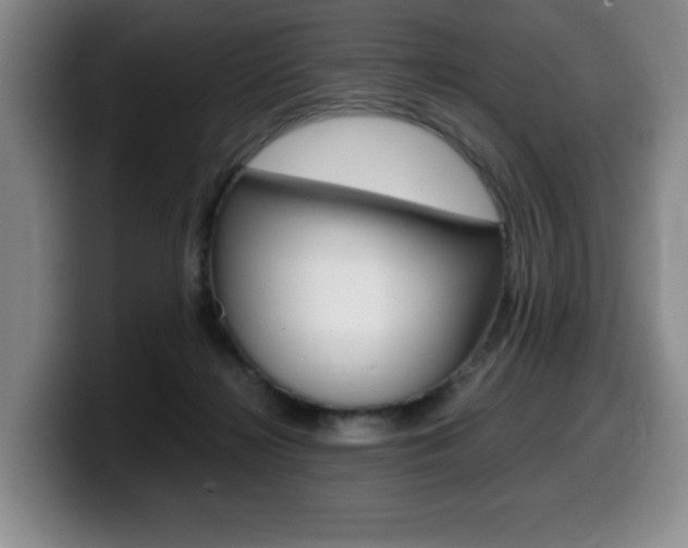 X0000099470268200805090819